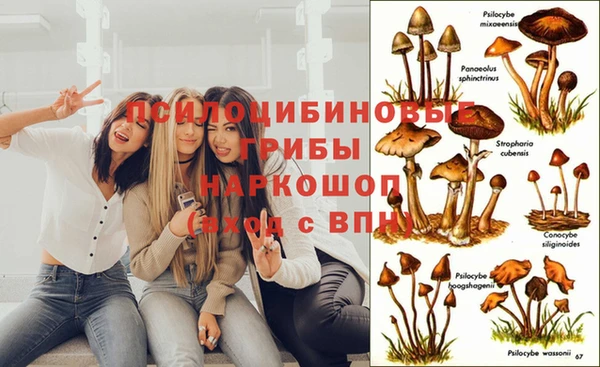 ГАЛЛЮЦИНОГЕННЫЕ ГРИБЫ Богородск