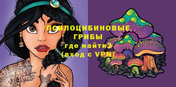 MDMA Богородицк