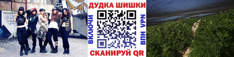 МАРИХУАНА конопля Дальнереченск